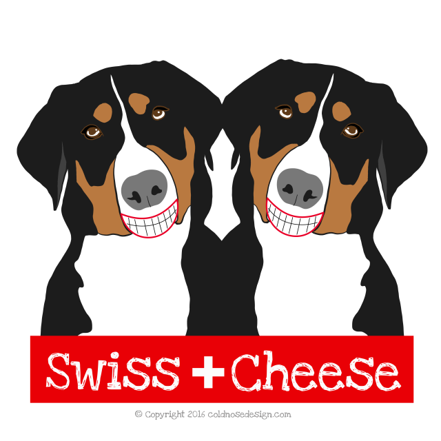 Swiss Mountain dogs smiling at the camera